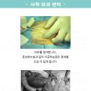 호박동물병원 이미지