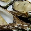 석화농장 이미지