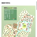 솔내음바람쉼터 | 강원도 영월 캠핑장 | 한반도솔숲쉼터캠핑장 (애견동반캠핑장)