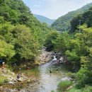 조무락계곡 이미지