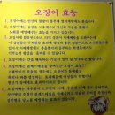 싱싱한산오징어 이미지