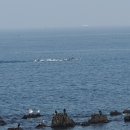 돌고개공인중개사사무소 이미지