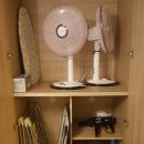 안나앤폴 이미지