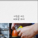 찻잔속에 | 찻잔 속에 피어난 힐링 티타임,향긋한 봄꽃 매화차 솔직 후기