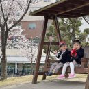 숲속리더유치원 이미지