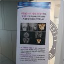 요셉동물병원 이미지