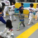 용인대통일태권도 이미지