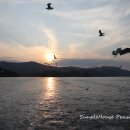 심플하우스 펜션 이미지