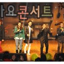 광천문예회관 Daum카페
