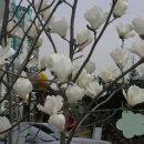 상빈농장 이미지