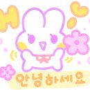 몽실펫 이미지
