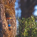 오늘은 선물 이미지