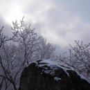 신일균신경외과의원 이미지