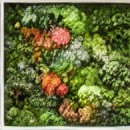 가람병원 이미지