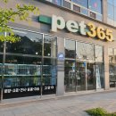 펫365 강아지분양 고양이분양 전주본점 이미지