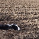 모란제1농장 이미지