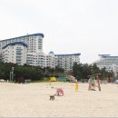 삼척예술제 국악한마당 이미지