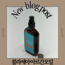 모든오일 | 환절기 헤어오일 추천 블라세아 아르간오일 사용법 및 제품 후기