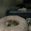바이훈갤러리