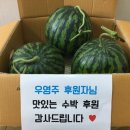 (주)신동영 이미지