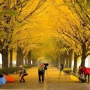 은행1공영주차장 이미지