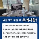 호담치과의원 네이버블로그