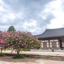 순천만 쉼표 이미지