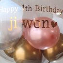 벌룬플라워 이미지