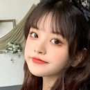 고양이 유치원 이미지