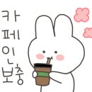 161카페
