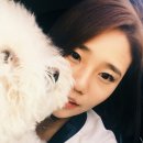 작천정휴게소 이미지