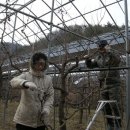 삼가리 농장 이미지