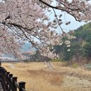 국립검봉산자연휴양림 이미지