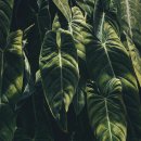 구명한의원 이미지