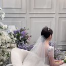 [아이폰 스냅] 행인스냅 본식 후기 (진천 포레스트 한울)