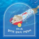 소형견부터 대형견까지 강아지 구명조끼 _ 나이비몰 위니즈 젤리빈 강아지 구명조끼