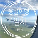 1일차: 교원투어 몽골 패키지여행, 에어로 몽골리아 수하물, 탑승후기, 몽골 현대식게르 숙소 그라스...