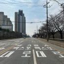 엑스포대로 이미지