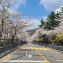 마들소망약국 네이버블로그
