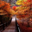 제733회 2025년 12월 7일 07:00 순창 강천산 이미지