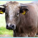 (주)동우바이오 이미지