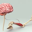 머슬시티 이미지