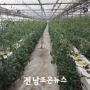 외서면 작은도서관 이미지