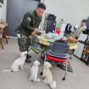 삼육상사 네이버블로그