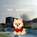 탑플러스마트 | 경주 반려동반 여행 개별 대형 수영장 숙소 JS 애견풀빌라 105호 이용 후기