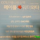 영광건강한녹즙 | [대표카페 지후맘/글로비스얼라이언스] 메이플워터 와타 선물세트 : 우리나라의 고로쇠 수액과 비슷한...