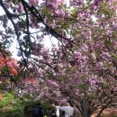완산-17 이미지