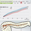 췌장암이 최악의 암인 이유 이미지