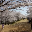 선진공원 주차장 네이버블로그