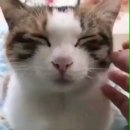 동행시티행정사사무소 이미지